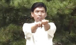 66节回春医疗保健视频,揭秘抗衰老秘籍，重拾青春活力